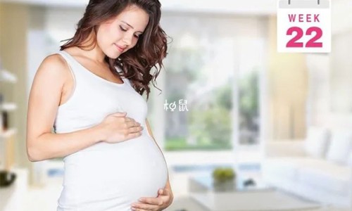 紫苏子叶的禁忌网 - 网站提供紫苏子叶可以吃吗小常识、紫苏子叶子有什么妙用