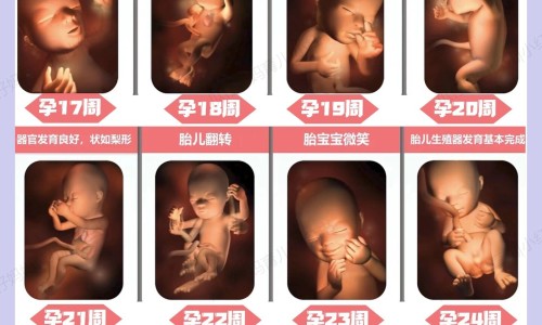 紫苏子叶的禁忌网 - 网站提供紫苏子叶可以吃吗小常识、紫苏子叶子有什么妙用
