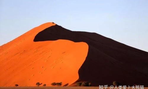 紫苏子叶的禁忌网 - 网站提供紫苏子叶可以吃吗小常识、紫苏子叶子有什么妙用